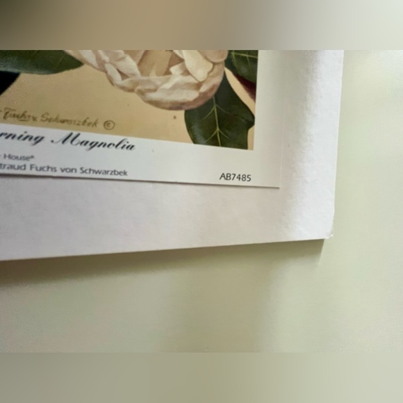 Waltraud Fuchs von Schwarzbek “Morning Magnolia” Print 10”x8” - Picture 6 of 8